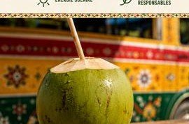 Coco fraîche ouverte avec paille devant le Ndiaga Ndiaye Bar à Coco